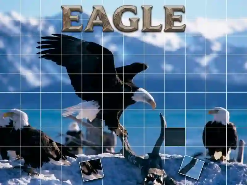 Peli Eagle verkossa