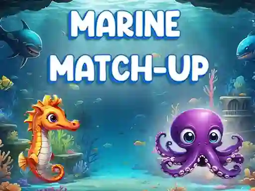 Peli Marine Match Up verkossa