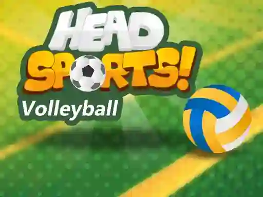 Peli Head Sports Volleyball verkossa