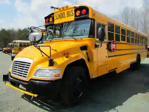 Peli School Buses Puzzle verkossa