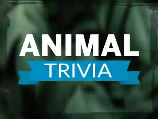 Peli Animal Trivia verkossa