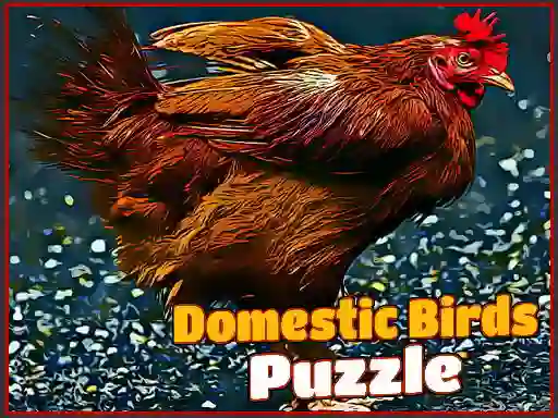 Peli Domestic Birds Puzzle verkossa