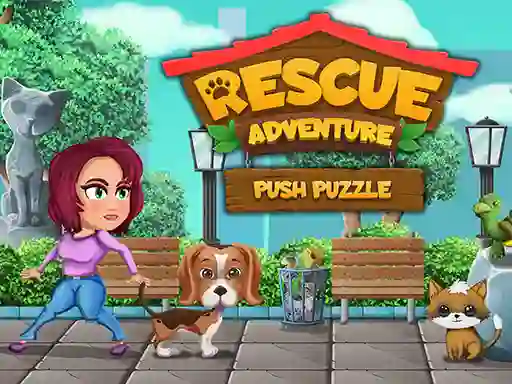 Peli Rescue Adventure Push Puzzle verkossa