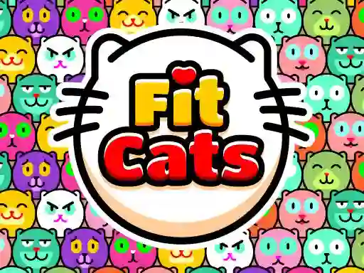 Peli Fit Cats verkossa