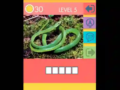 Peli 15 Picture Quiz verkossa