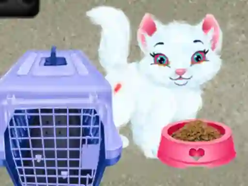 Peli Baby Taylor Pet Care verkossa