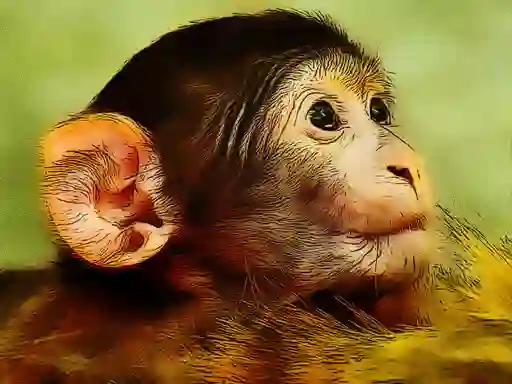 Peli Funny Baby Monkey verkossa