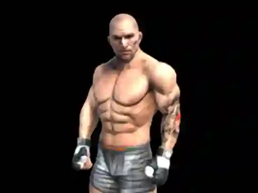 Peli Fight Arena Online verkossa