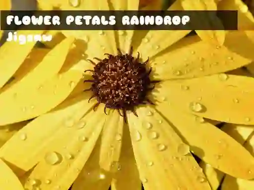 Peli Flower Petals Raindrop Jigsaw verkossa