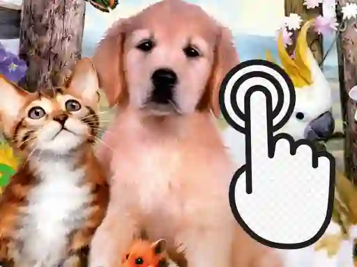 Peli Pets Clicker verkossa