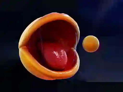 Peli Pac-Man verkossa