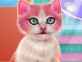 Peli Kitty Hammashoito  verkossa