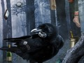 Peli Pelottava pelottava talo verkossa