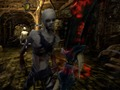 Peli Zombies vs. Berserk 2 verkossa