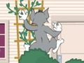 Peli Tom und Jerry: Wasserbomben Wahnsinn verkossa