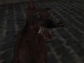 Peli Nazi Zombie armeija  verkossa