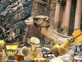 Peli Tutustu Petraan  verkossa