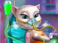 Peli Kitty-onnettomuus Er  verkossa