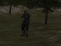 Peli FPS-toimisto: Metsä  verkossa
