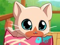 Peli Oma Pocket Lemmikit Kitty Cat  verkossa