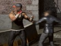 Peli Raging Punch 3D verkossa