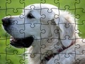 Peli Jigsaw Puzzle Kotieläimet  verkossa