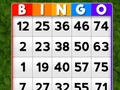 Peli Bingo verkossa