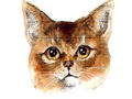 Peli Abessinian palapelihaaste  verkossa