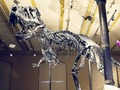 Peli Päivä museossa  verkossa