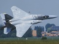 Peli F15 -kotka verkossa