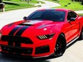 Peli Fancy Mustang -erot  verkossa
