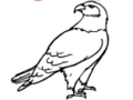 Peli Eagle-värityskirja  verkossa