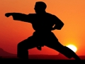 Peli Karate Sunset Warriors verkossa
