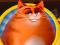 Peli Kitty sekoitus  verkossa