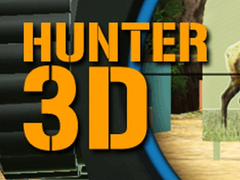 Peli Hunter 3D verkossa