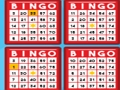 Peli Bingo -bash verkossa