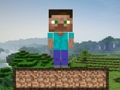Peli Minecraft Survival  verkossa