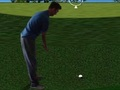 Peli Flash Golf 3D  verkossa