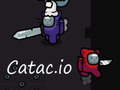 Peli Catac. io  verkossa