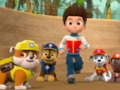 Peli Paw Patrol -palapeli  verkossa
