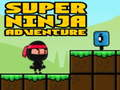 Peli Super Seikkailu Ninja  verkossa