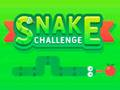 Peli Snake Challenge verkossa