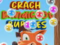 Peli Crash Bandicoot -kuplat verkossa