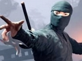 Peli Napauta Ninja  verkossa
