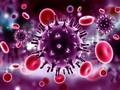 Peli Koronavirus palapeli  verkossa