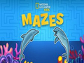 Peli Nat Geo Kids Soces verkossa