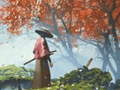 Peli Samurai-heijastus  verkossa