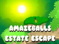 Peli Amazeballs Estate Escape verkossa