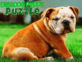 Peli Bulldog-pentu palapeli  verkossa