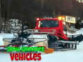 Peli Snow Groomer -ajoneuvot  verkossa